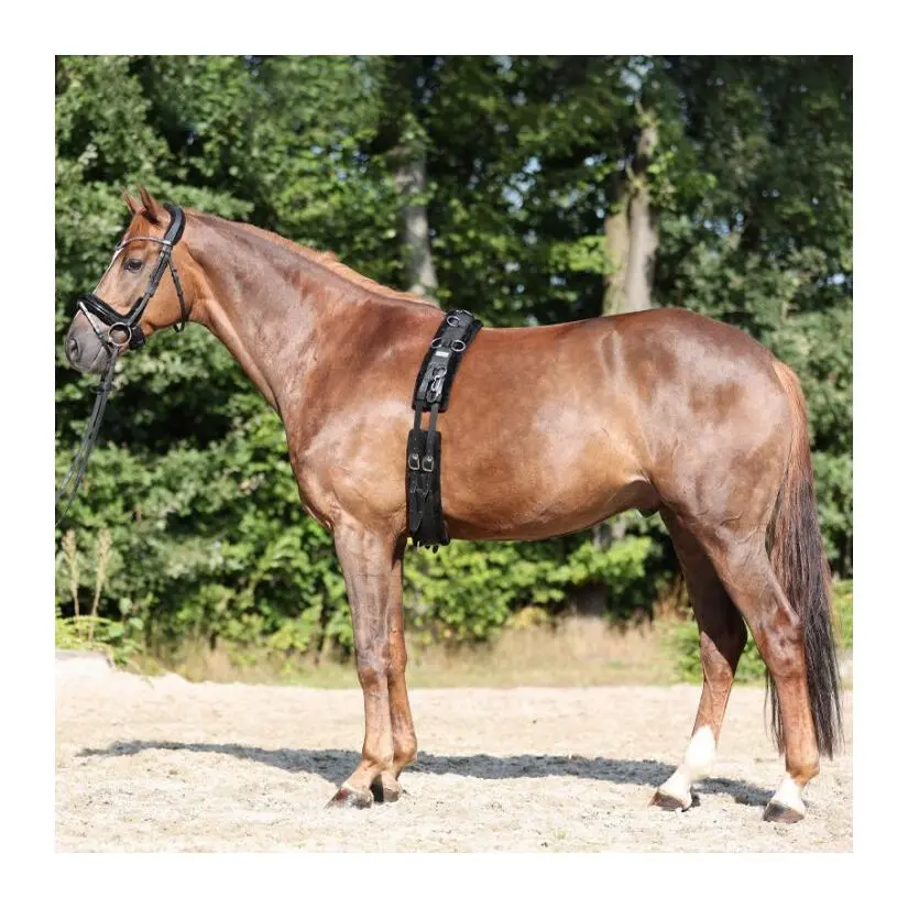 Comparer les prix de Sangle anatomique avec fausse fourrure Kavalkade