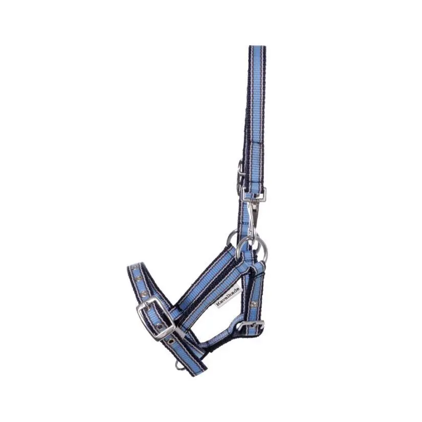 Kavalkade Bleu Halter For Foal And Yearling
