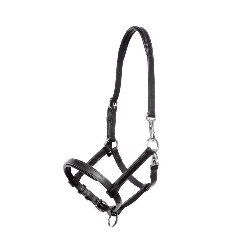 Kavalkade Noir Halter For Leather Foal