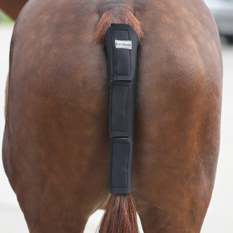 Meilleurs prix pour Protège-queue pour cheval en néoprène Kavalkade
