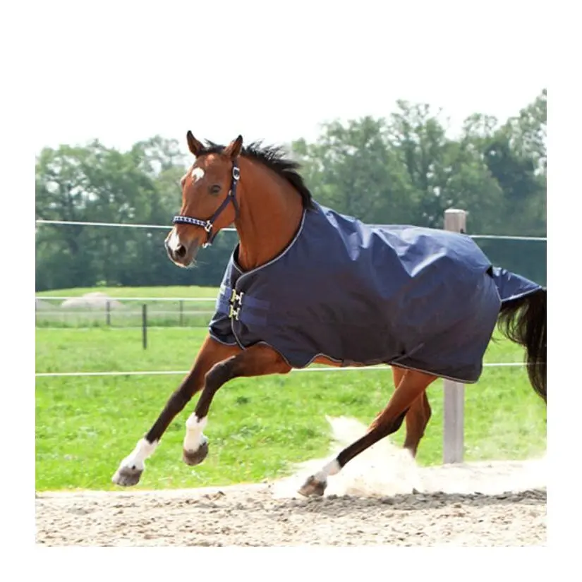 Kavalkade Bleu Outdoor Horse Blanket Montreal 100 G