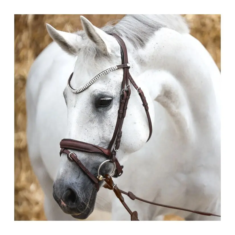 Licol D'équitation Naturel En Nylon – Taille Cob, Couleur Blanc, Neuf
