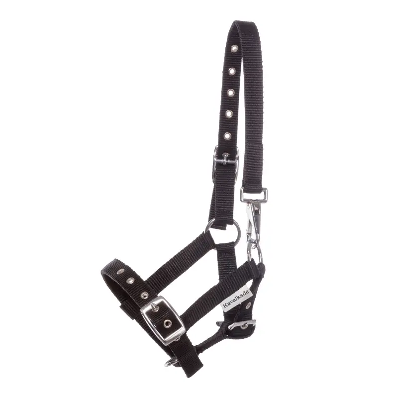 Kavalkade Noir Halter For Foals And Yearlings
