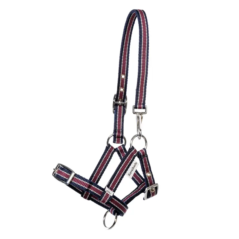 Kavalkade Bleu Halter For Foals And Yearlings