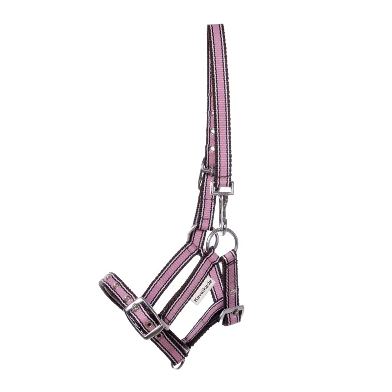 Kavalkade Rose Halter For Foals And Yearlings