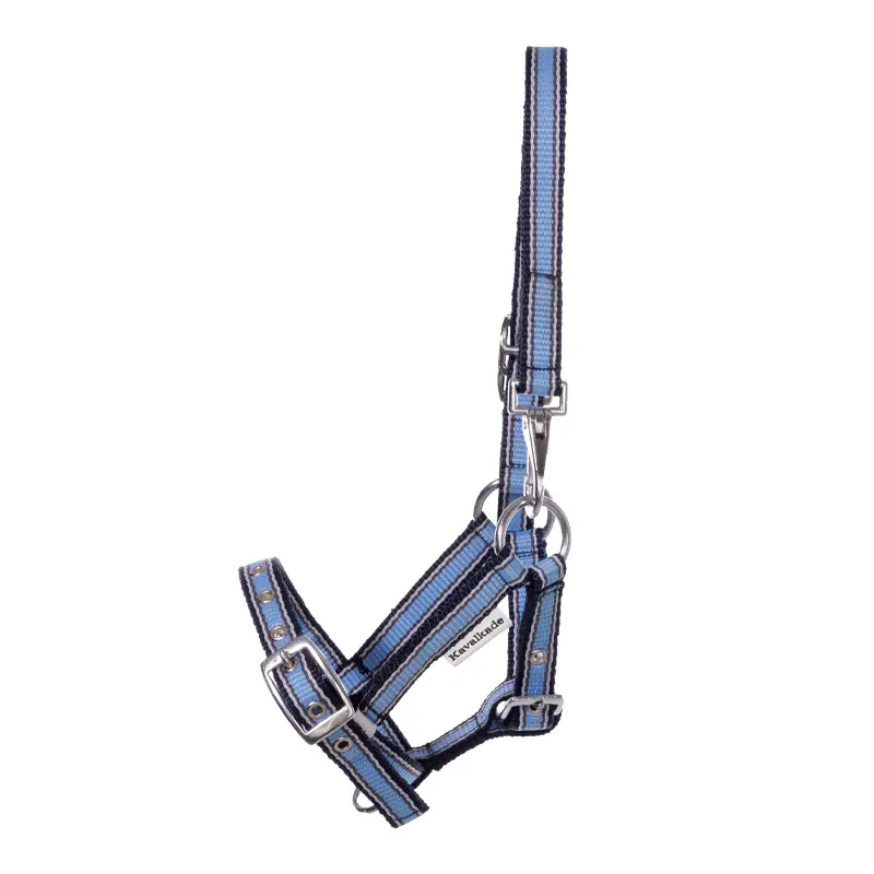Kavalkade Bleu Halter For Foals And Yearlings