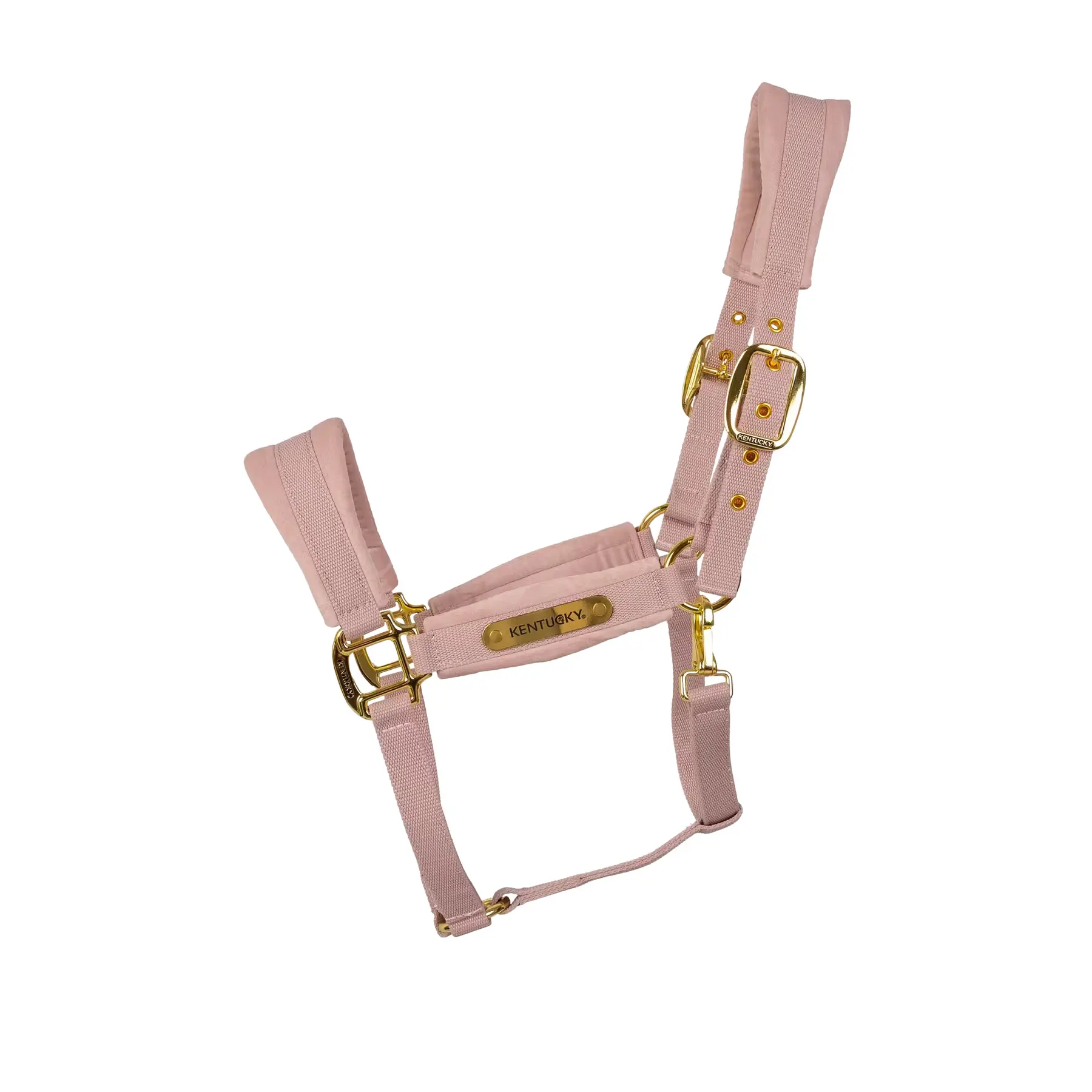 Licol pour cheval en nylon Kentucky Horsewear