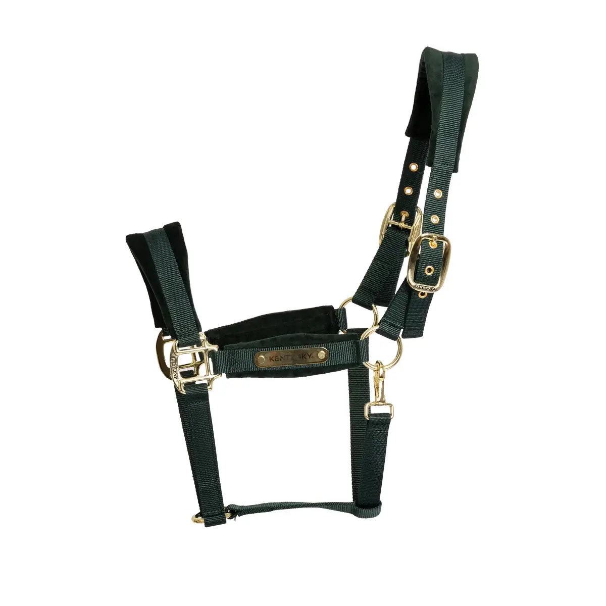 Kentucky Horsewear Vert Nylon Horse Halter