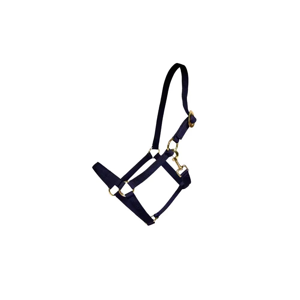 Kentucky Horsewear Bleu Nylon Horse Halter