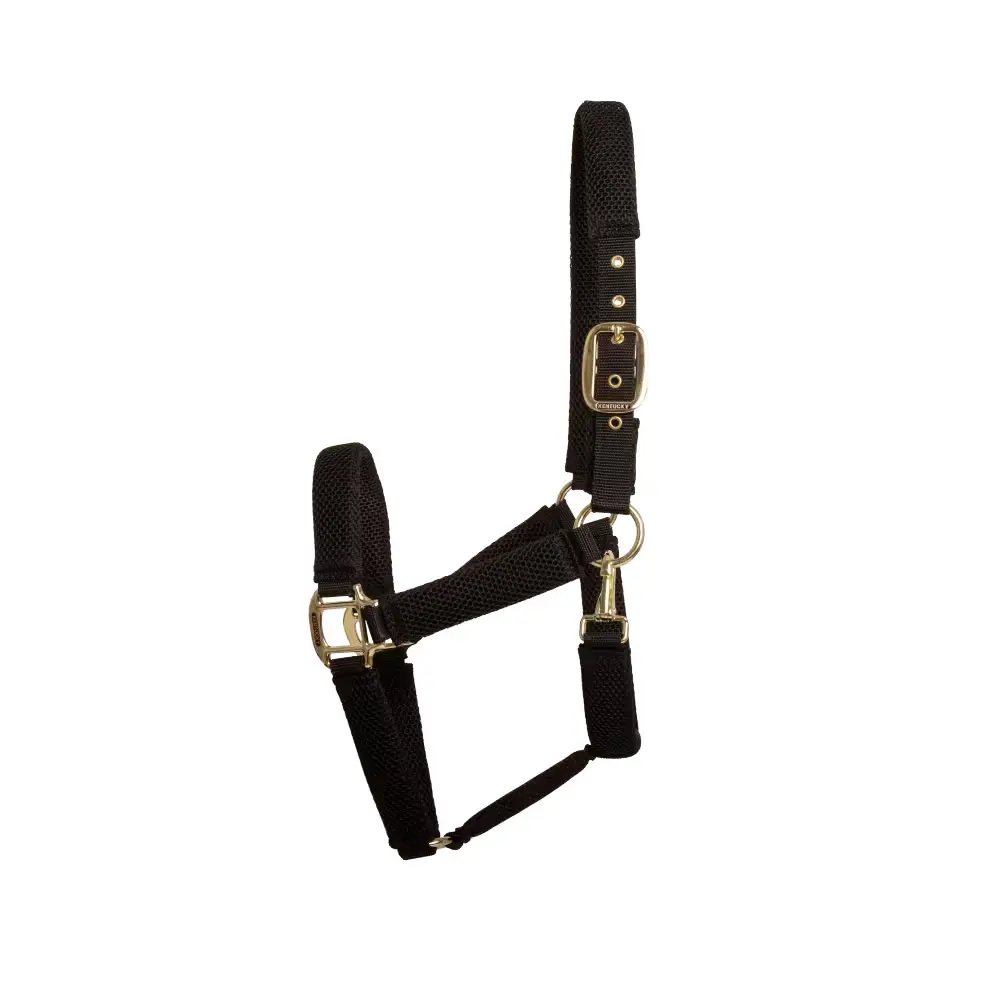 Licol pour cheval en maille Kentucky Horsewear 3D