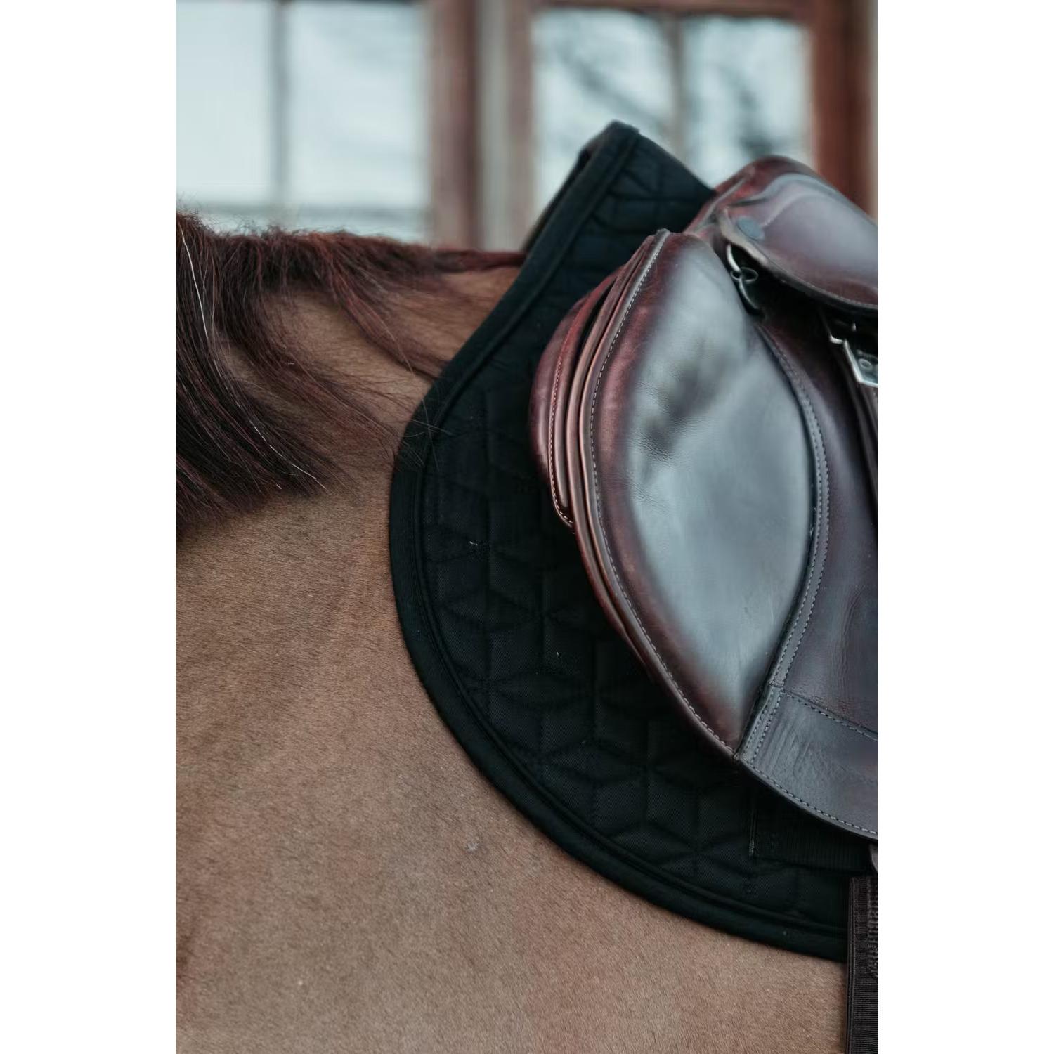 product/k/e/kentucky-horsewear-42803-01-sj-cob-noir-2.jpg