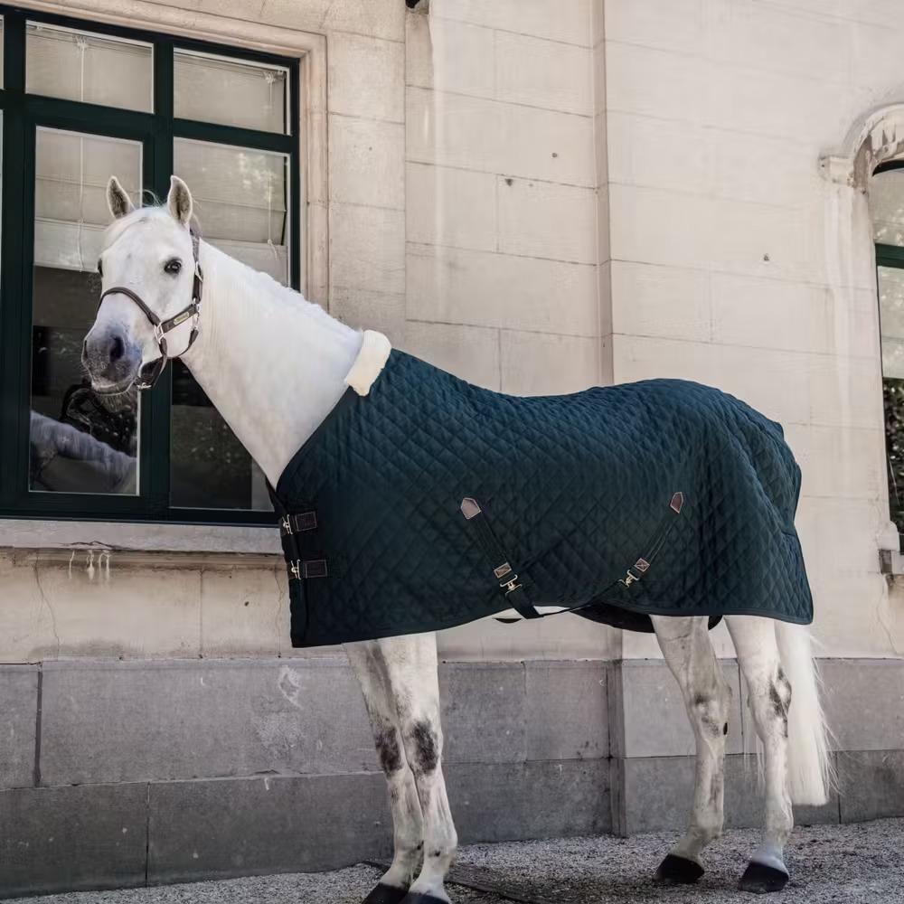 product/k/e/kentucky-horsewear-52102-73-160-dark-green-4.jpg