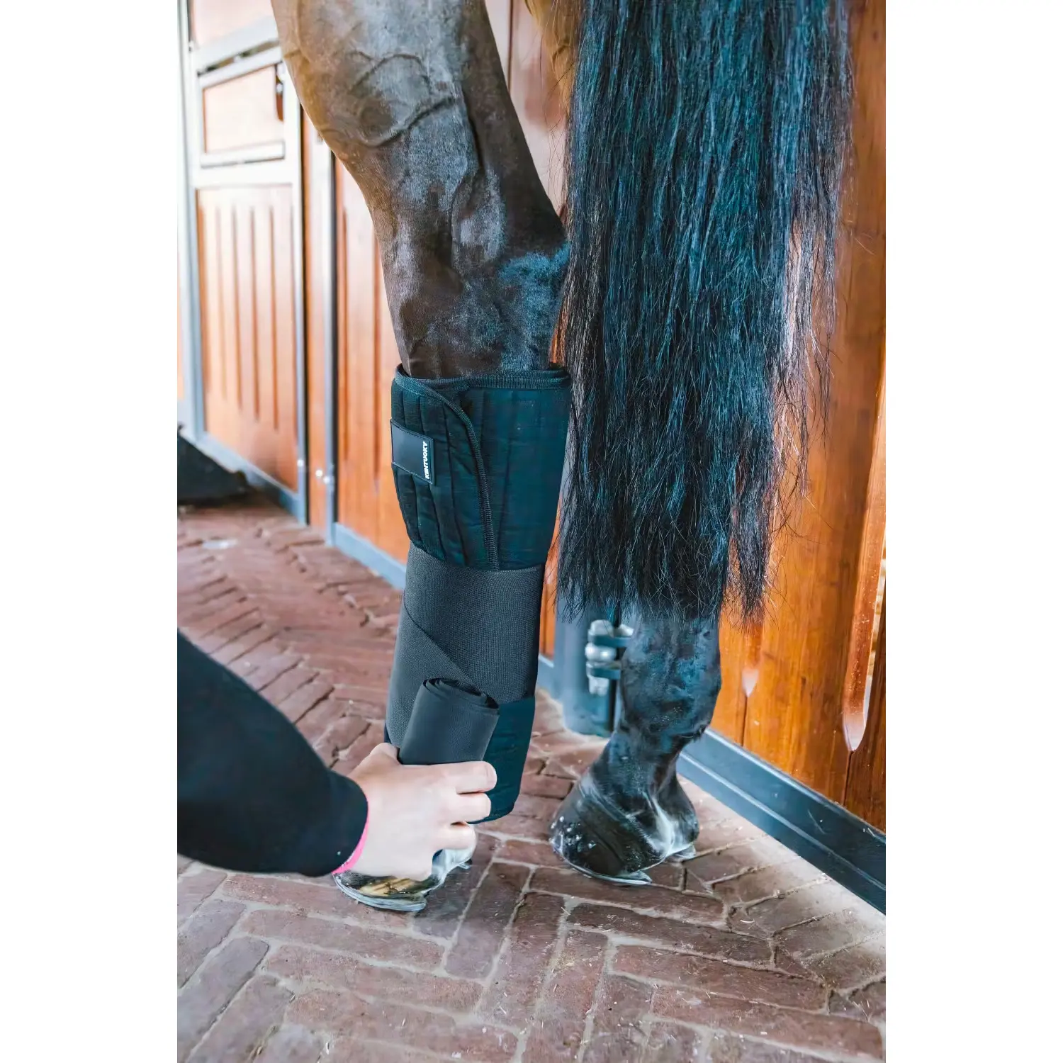 Kentucky Horsewear Noir Resting Belts For Horses Kentucky