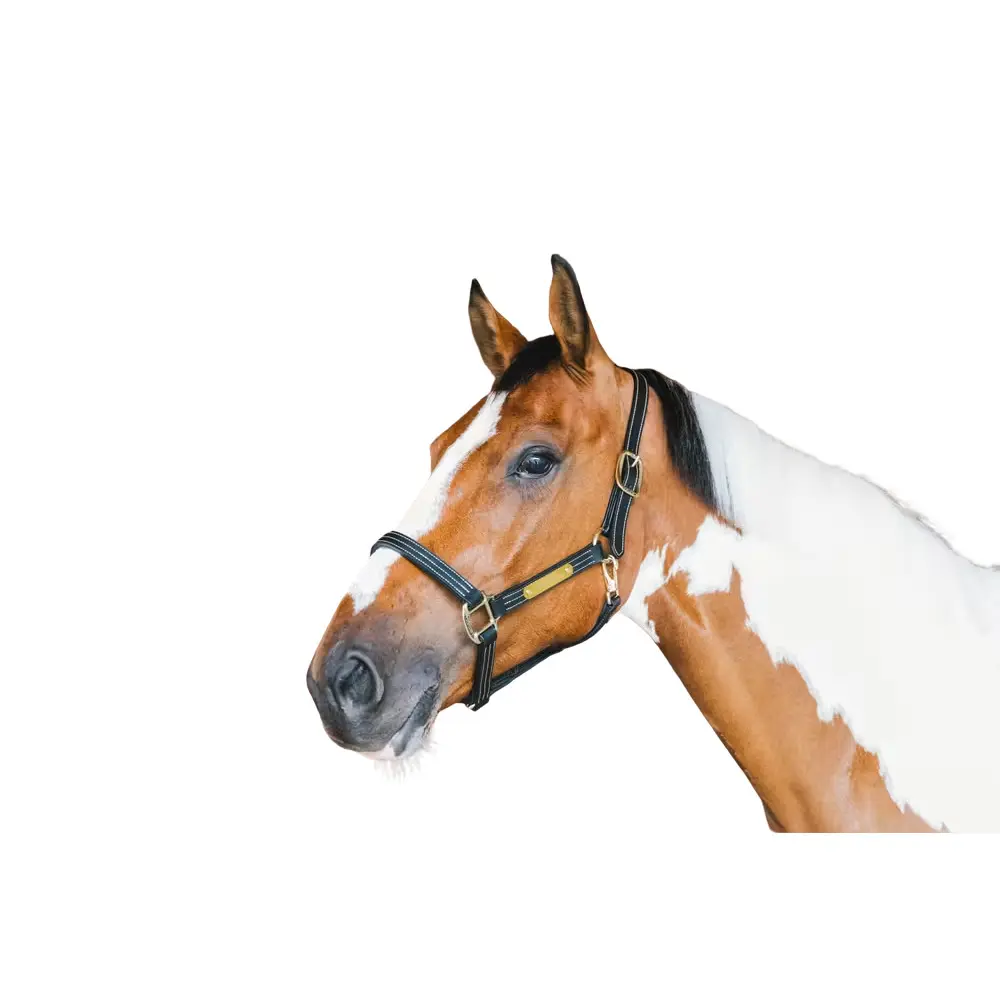 Kentucky Horsewear Noir Leather Halter For Foals Kentucky Wellington