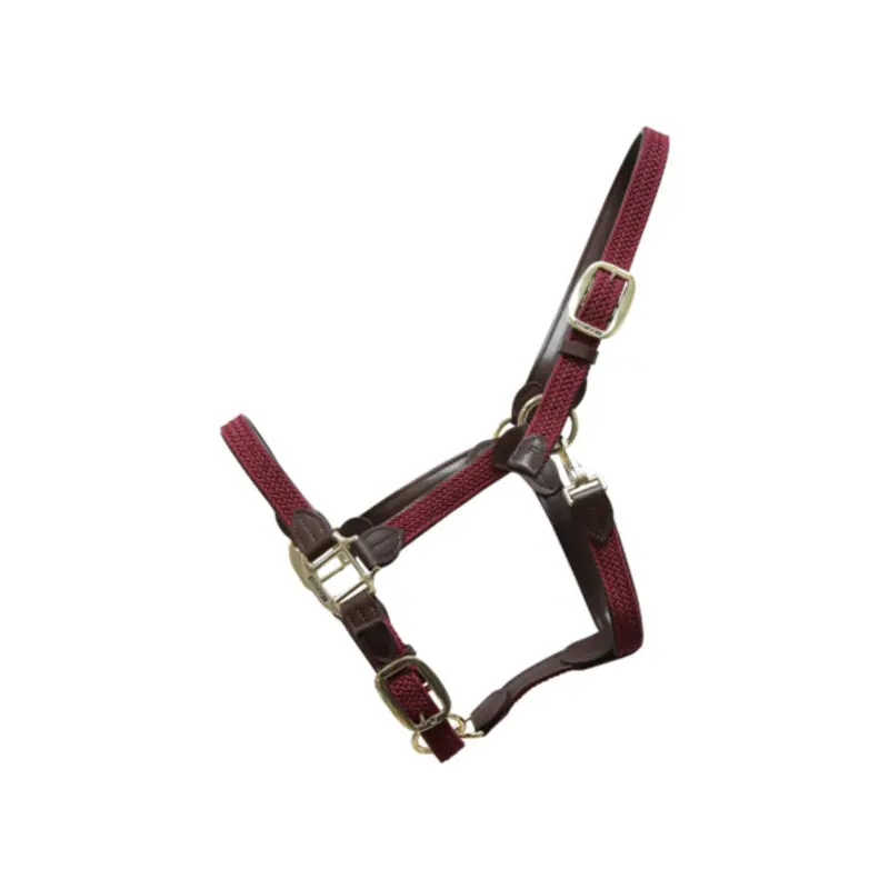 Kentucky Horsewear Rouge Halter For Horse Nylon Braided Kentucky