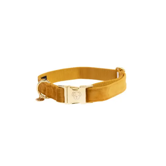 Kentucky Dogwear Jaune Dog Collar Kentucky Velvet