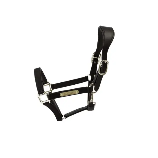 Kentucky Horsewear Noir Anatomical Horse Halter Nylon Kentucky