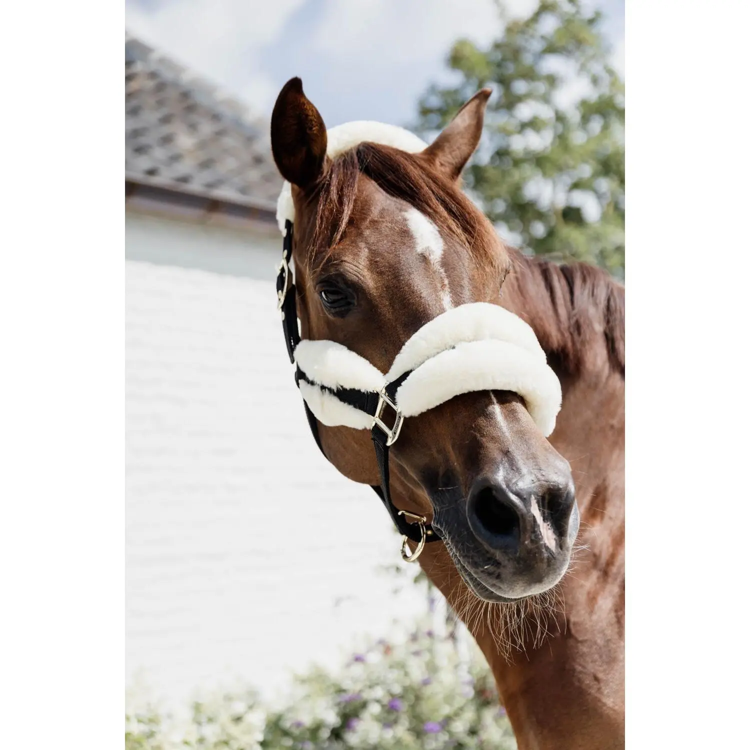 Nylon halter with sheepskin Kentucky Soft | Gallop-Store