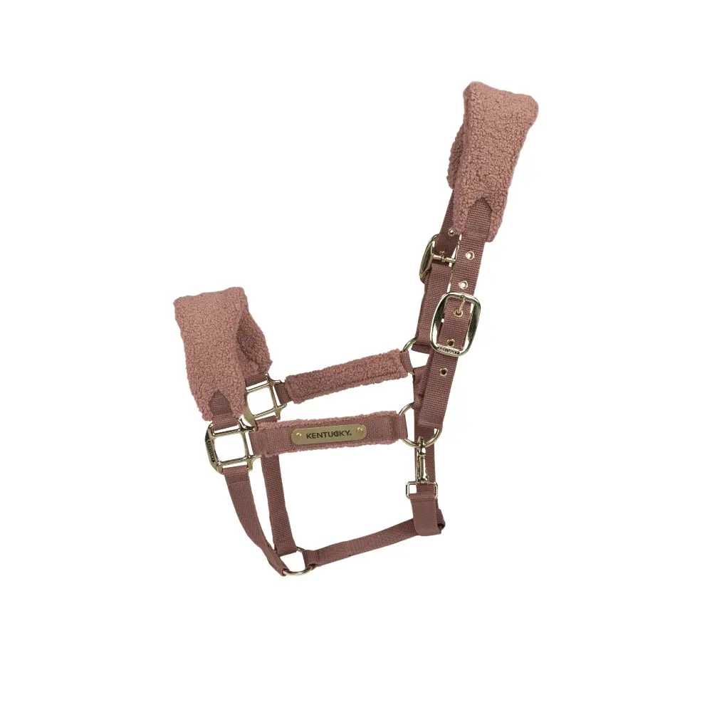 Kentucky Horsewear Rose Halter For Polar Horses Kentucky Teddy