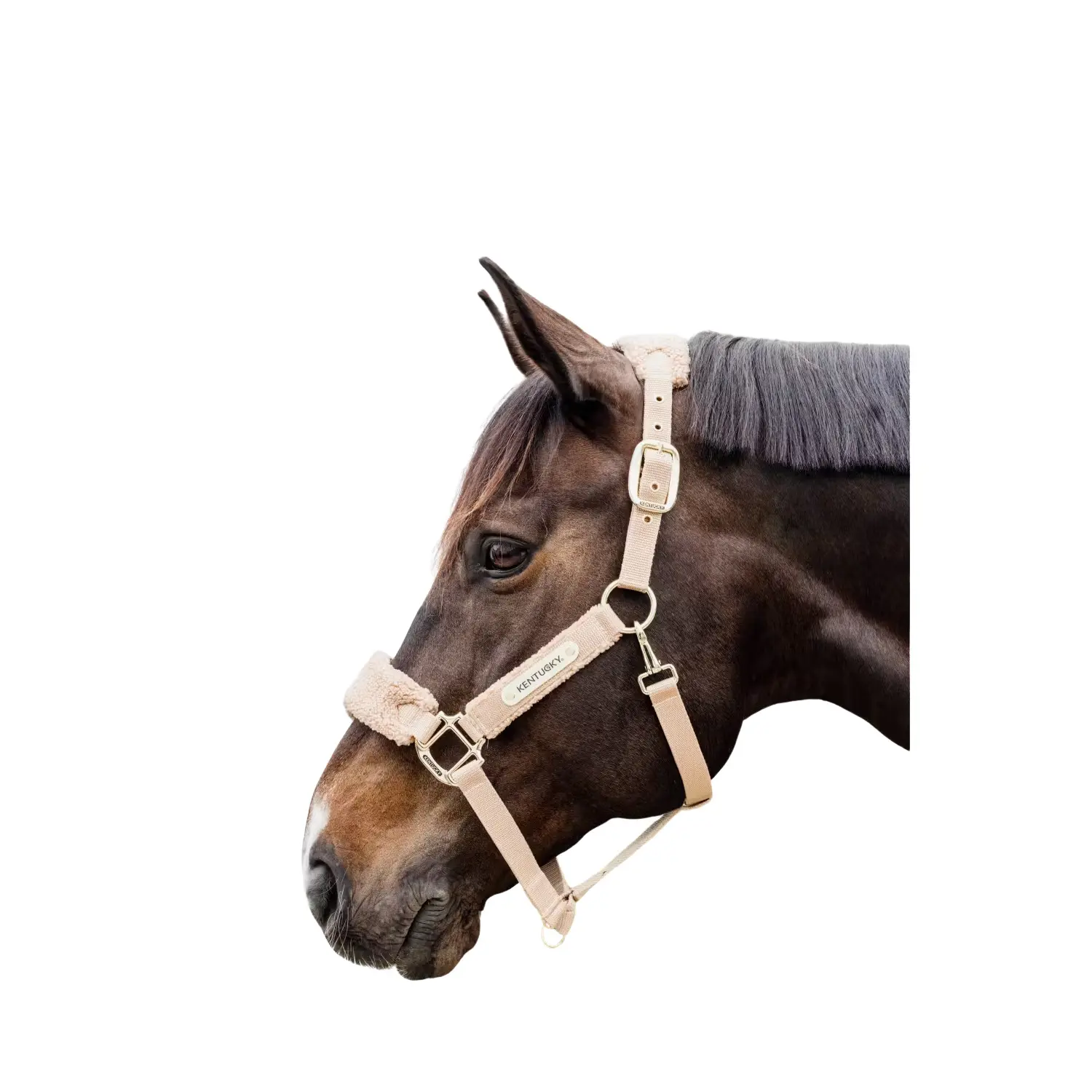 Kentucky Horsewear Beige Halter For Polar Horses Kentucky Teddy