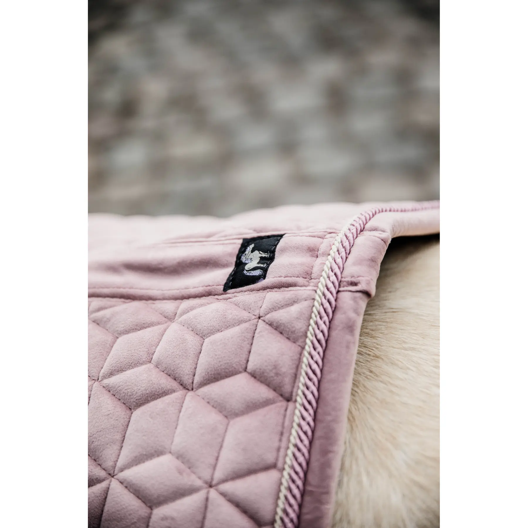 Kentucky Horsewear Rose Saddle Pad For Horses Kentucky Velvet