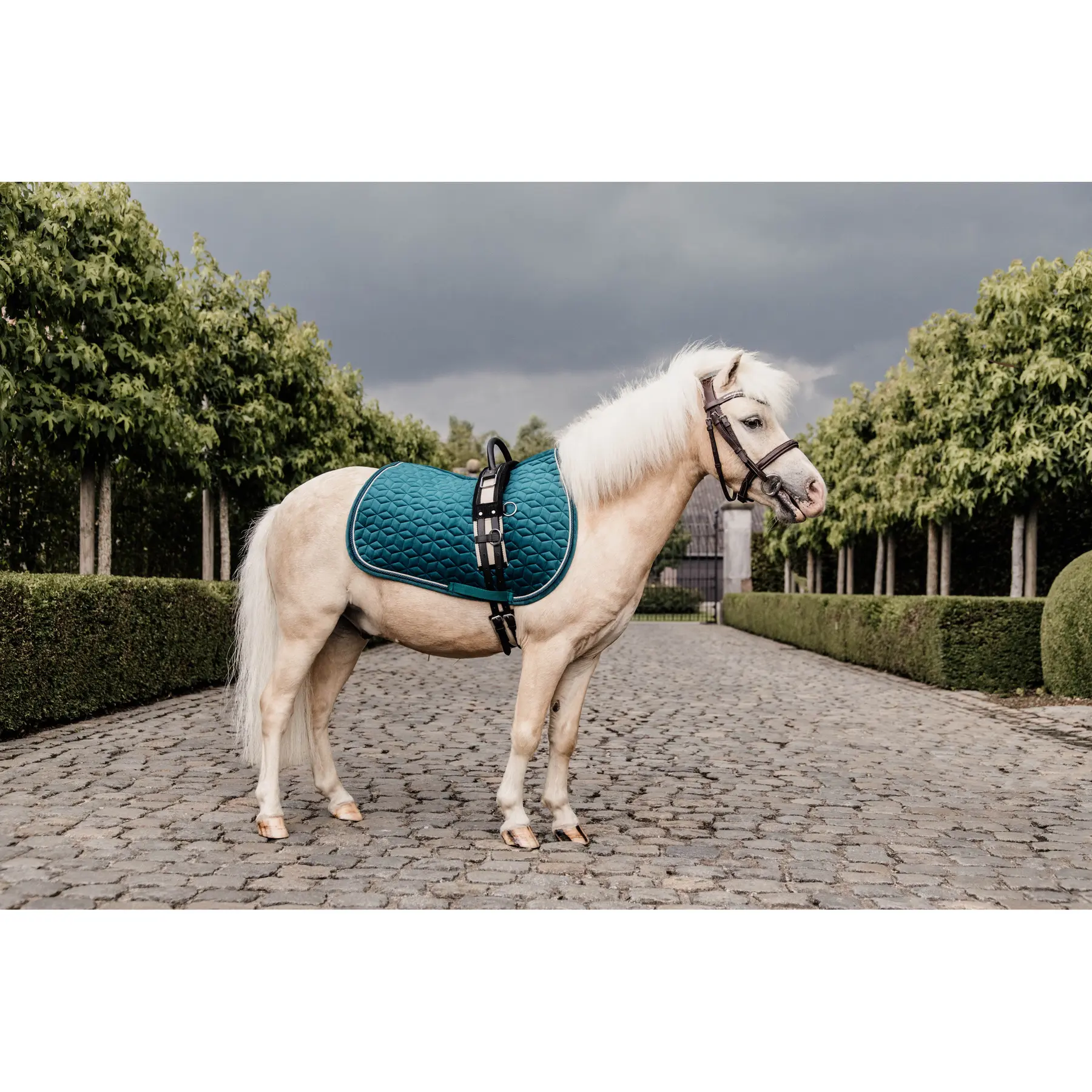 Kentucky Horsewear Vert Saddle Pad For Horses Kentucky Velvet
