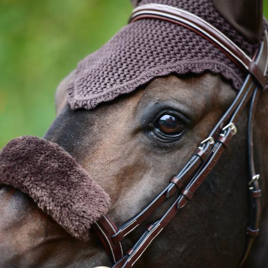 product/k/e/kentucky_42602-05-28_choco_3.jpg
