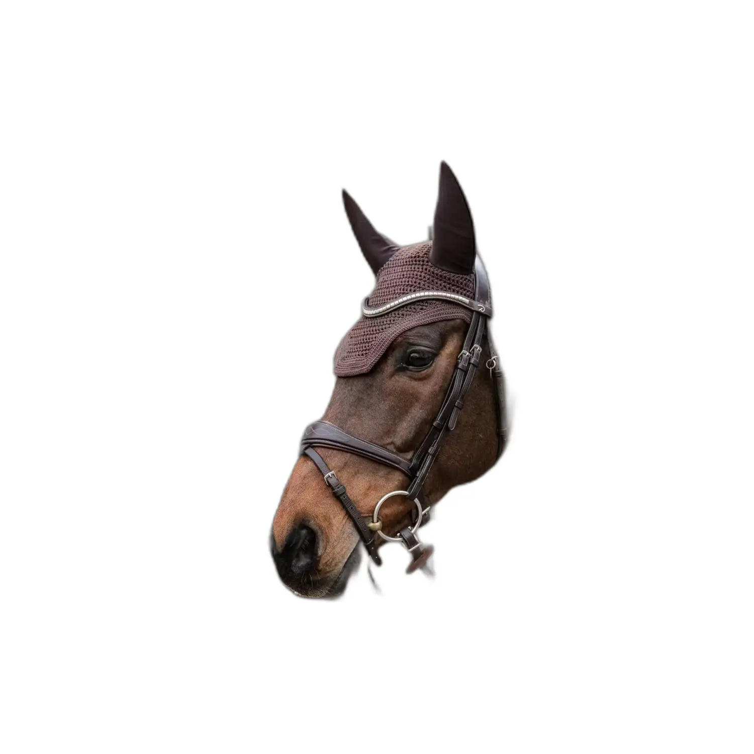 Kentucky Horsewear Marron Ear Muffs For Horses Kentucky Wellington