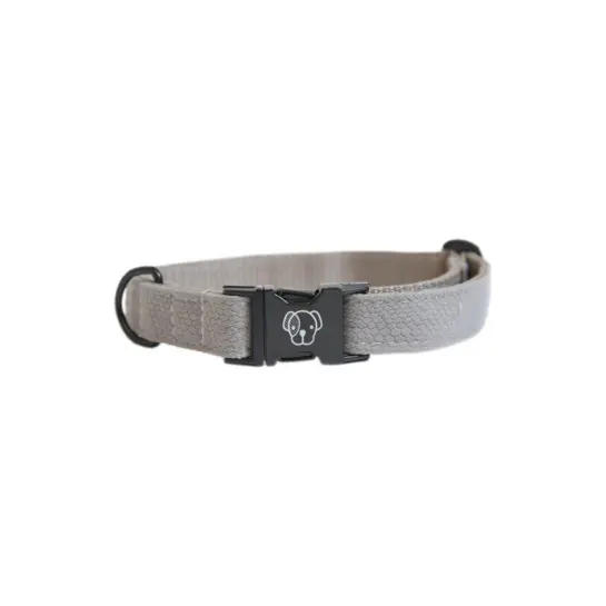 Comparer les prix de Collier pour chien lézard Kentucky