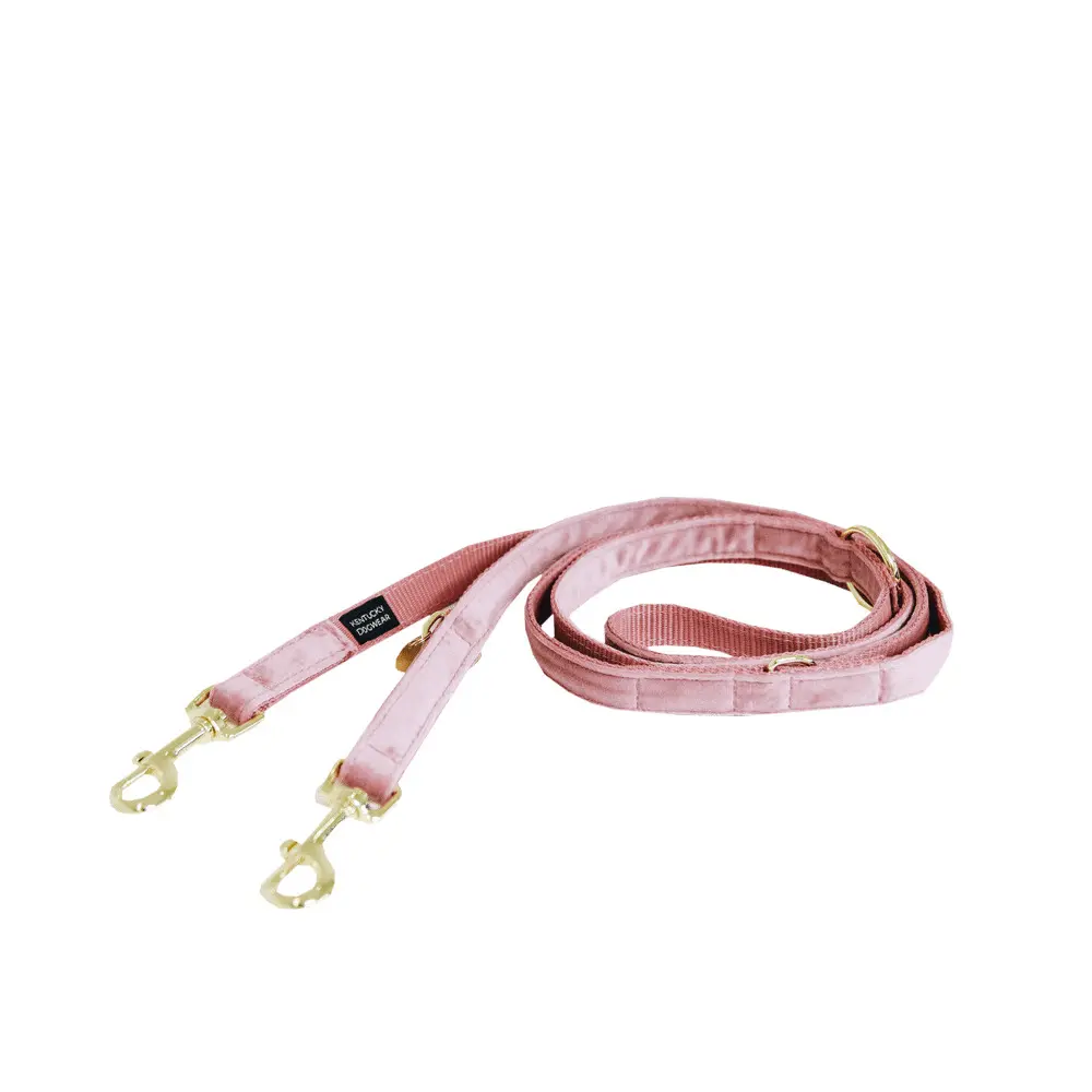 Kentucky Dogwear Rose Dog Leash Kentucky Velvet 200 Cm