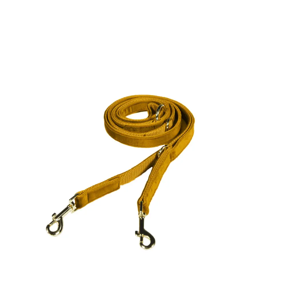 Kentucky Dogwear Jaune Dog Leash Kentucky Velvet 200 Cm