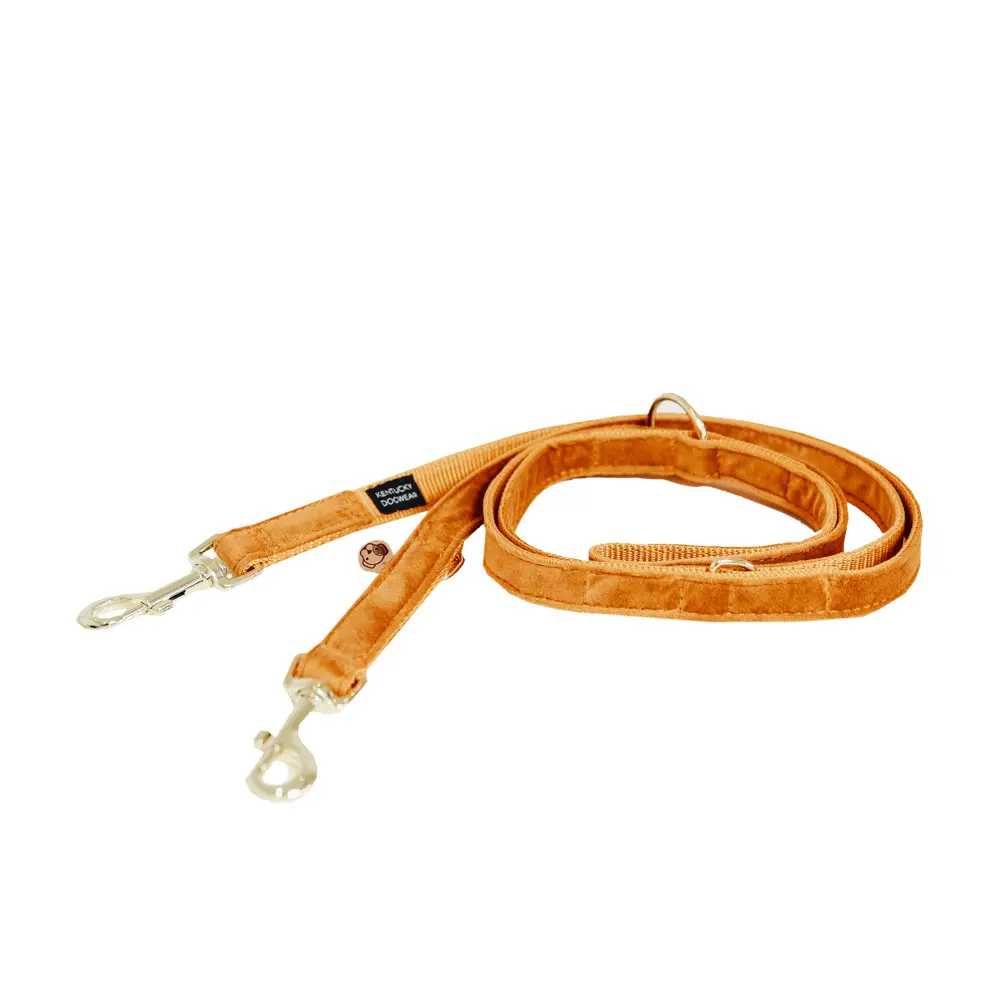Kentucky Dogwear Orange Dog Leash Kentucky Velvet 200 Cm