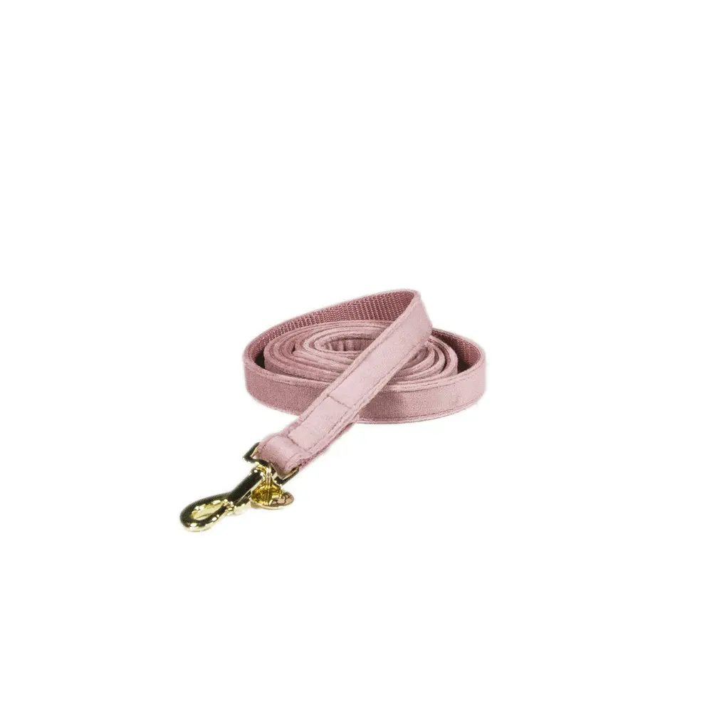 Kentucky Dogwear Rose Dog Leash Kentucky Velvet
