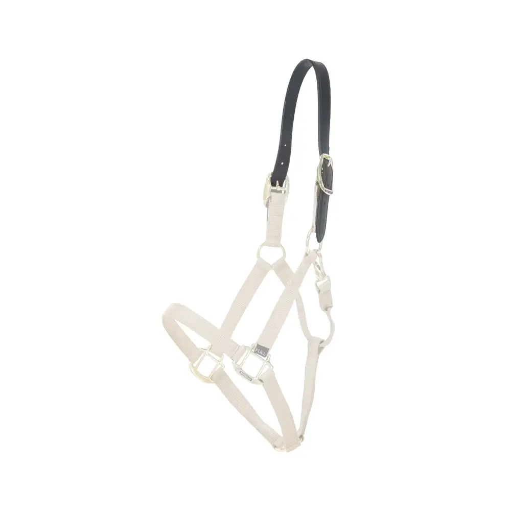 Meilleurs prix pour Licol pour cheval en nylon Kentucky Breakaway