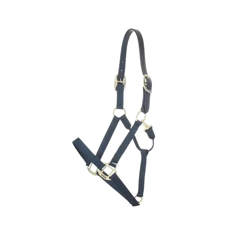 Kentucky Horsewear Bleu Nylon Horse Halter Kentucky Breakaway