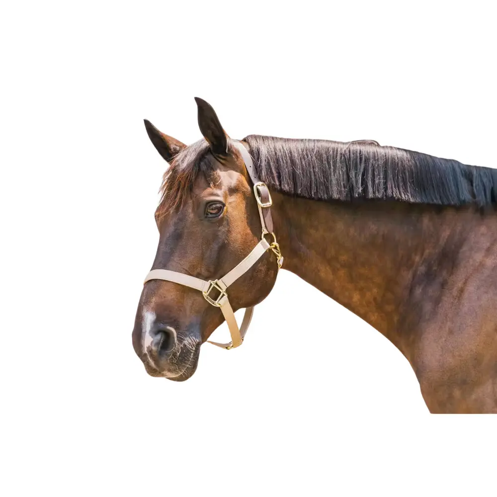 Kentucky Horsewear Beige Halter For Horse Kentucky Breakaway