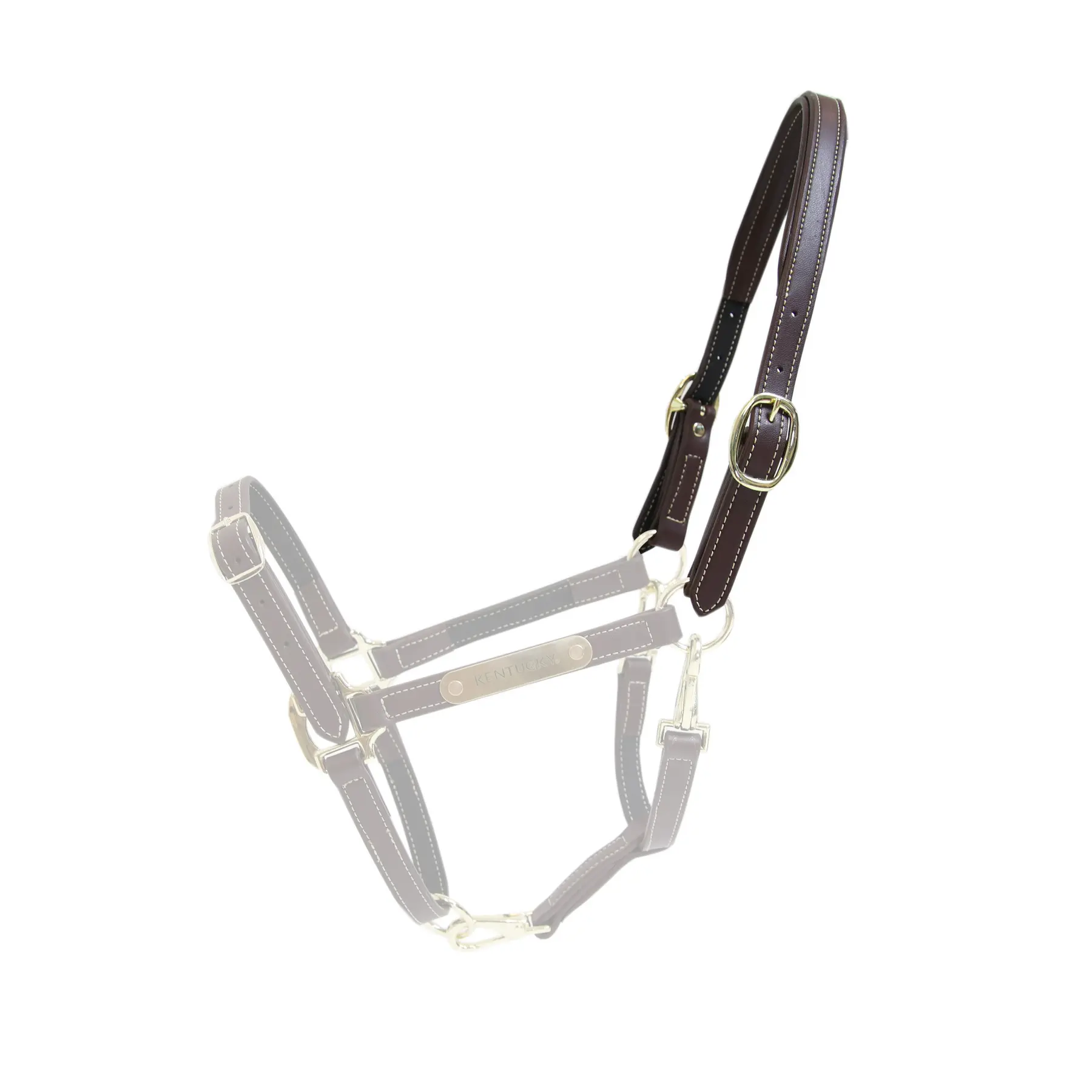 Meilleurs prix pour Licol pour cheval flexible tour de cou cuir Kentucky