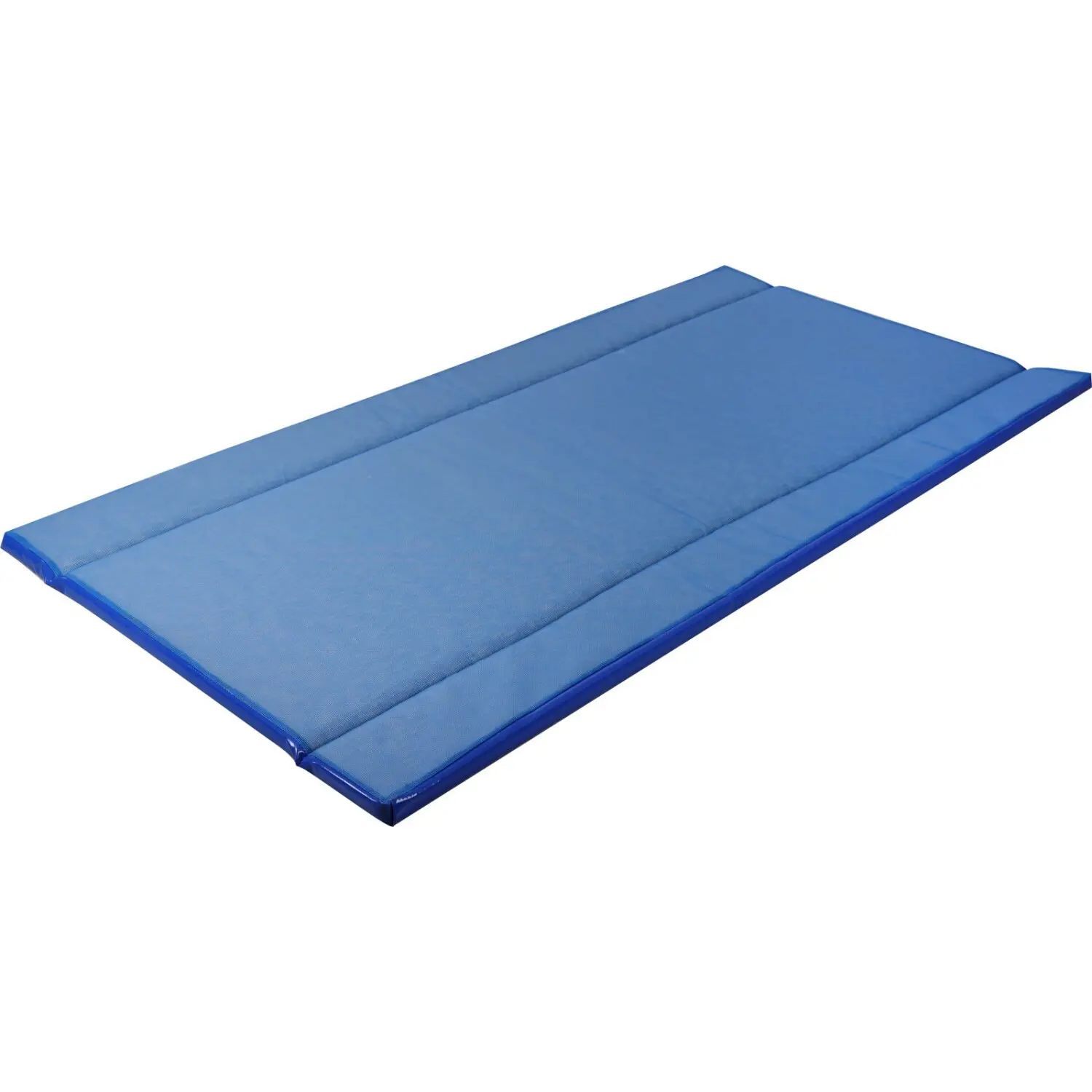 Kerbl Bleu Standard Disinfectant Mat