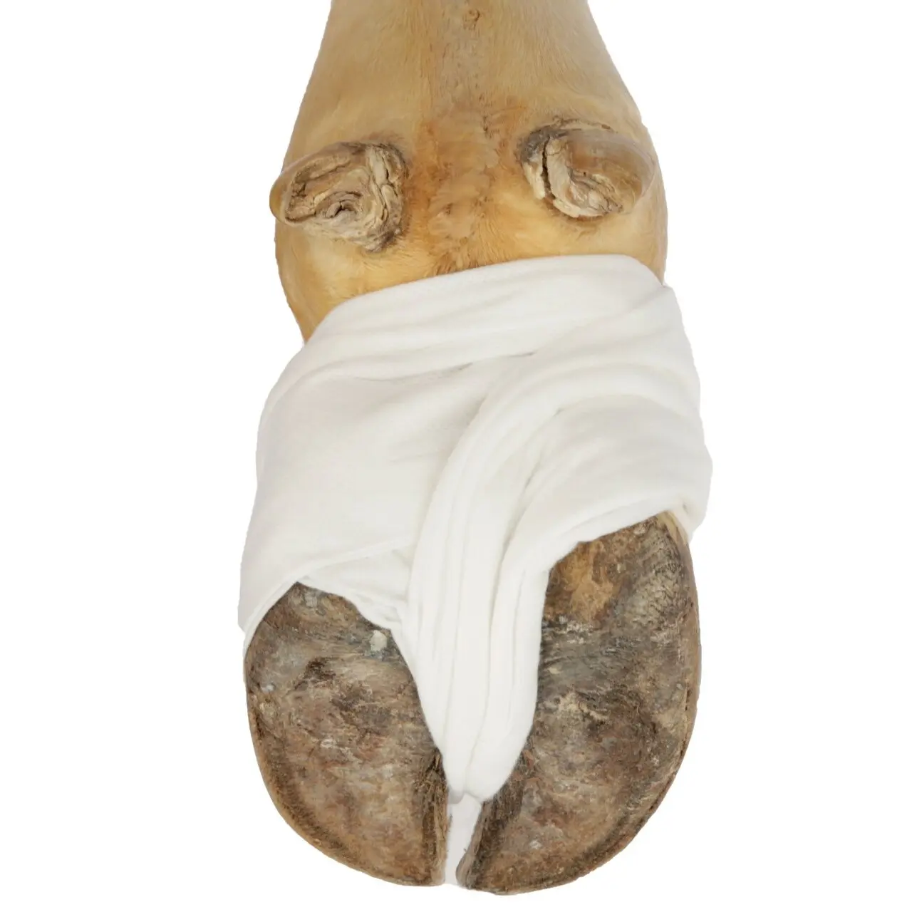 Kerbl Blanc Absorbent Pads