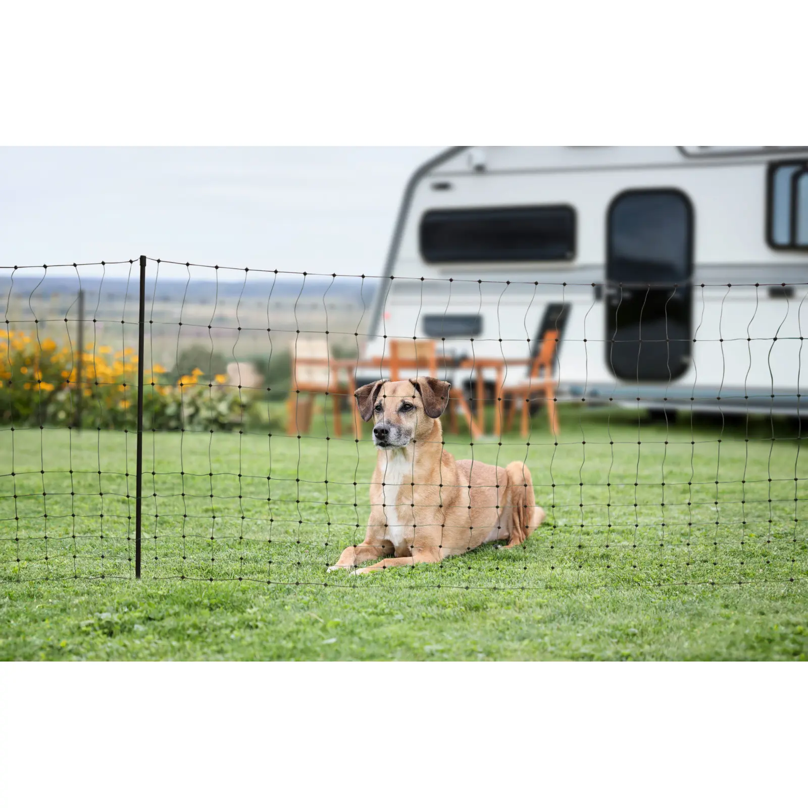 Kerbl Vert Siatka Do Ogrodzenia Dwupunktowego Campingnet