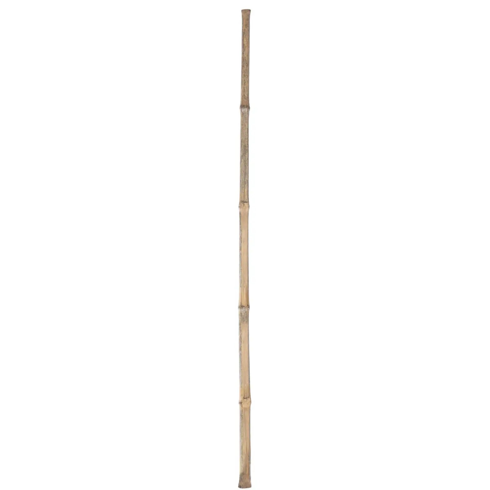 Kerbl Beige Bamboo Broom Handle 29497