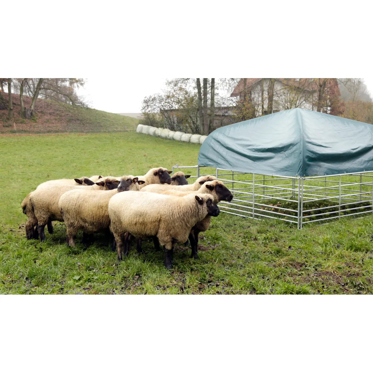 absolut wasserdichtes zelt Großes Zwei-Zimmer-Familienzelt – – Campingzelt mit Aluminiumstangen, einfacher Aufbau für Outdoor-Wandern, Glamping, leichtes Campingzelt (Kaffee 310 x 210 x 185 cm) Beautiful Sport & Freizeit Camping du Lac Cristal Elektrischer Strom:12,8 Ah Category:Rennrad_Schwalbe G One Allround  Kevlar  40 622