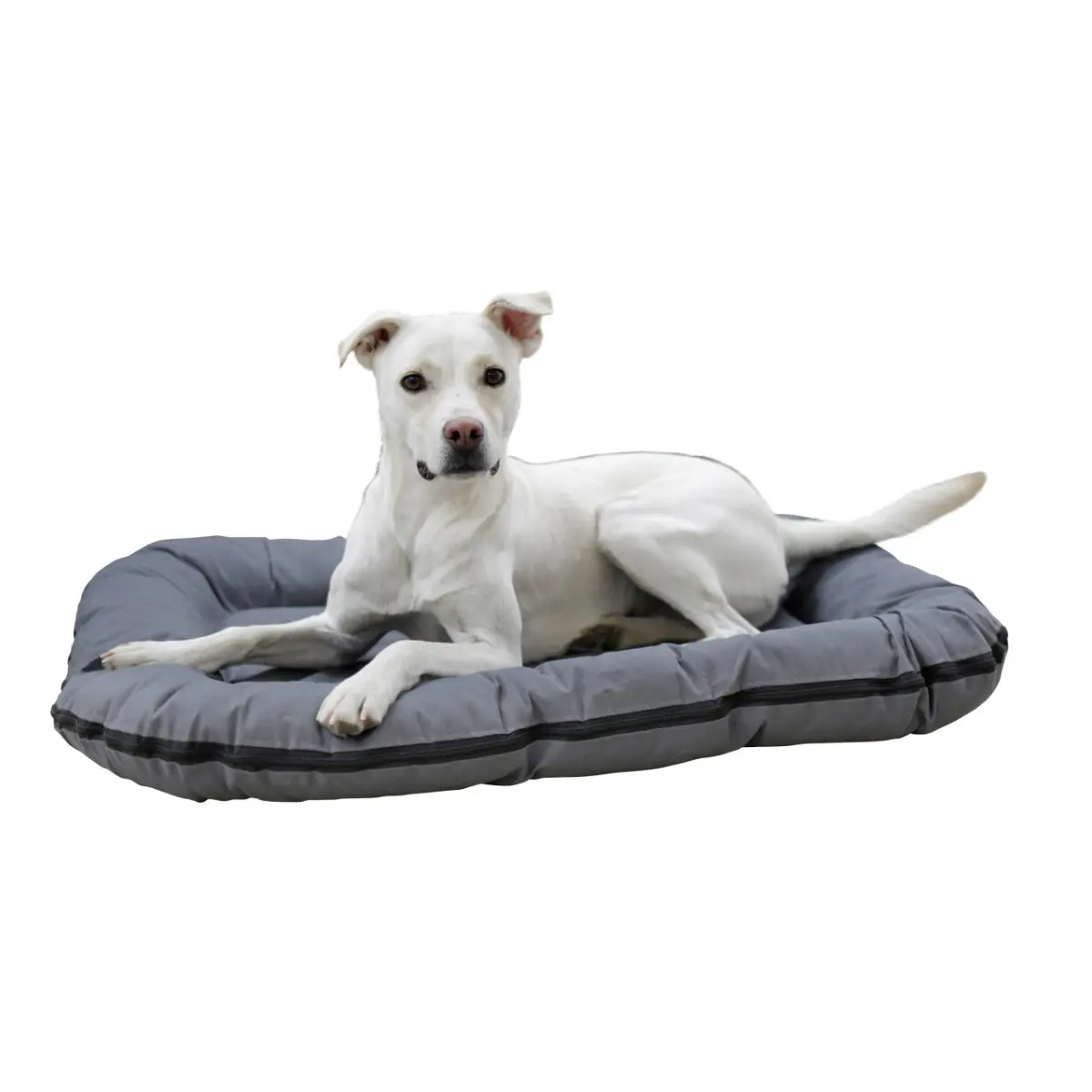 Comparer les prix de Coussin pour chien Kerbl Oxford Place