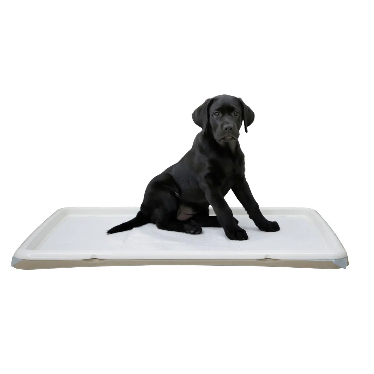 Kerbl Beige Puppy Toilet