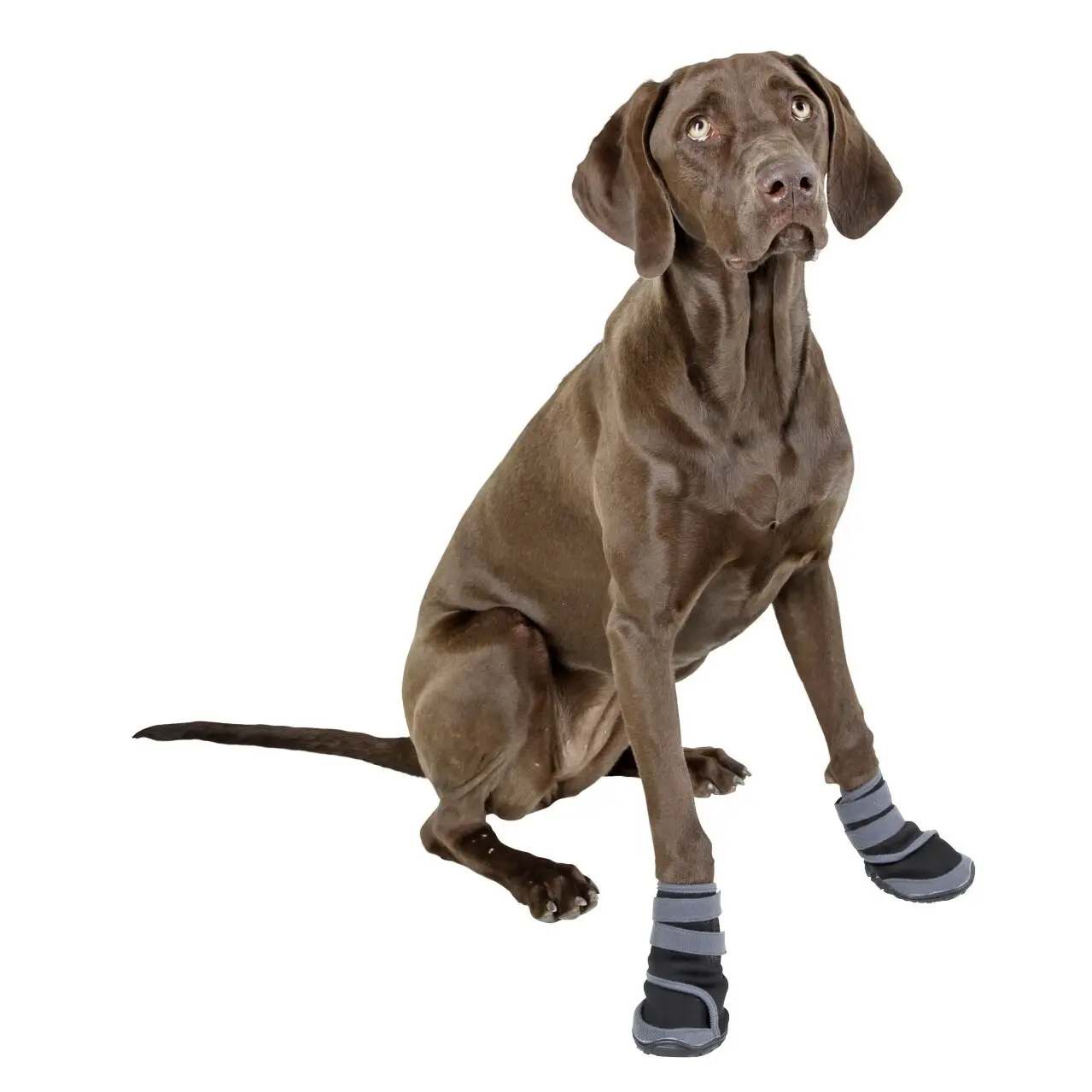 Comparer les prix de Chaussures pour chien Kerbl Active (x2)