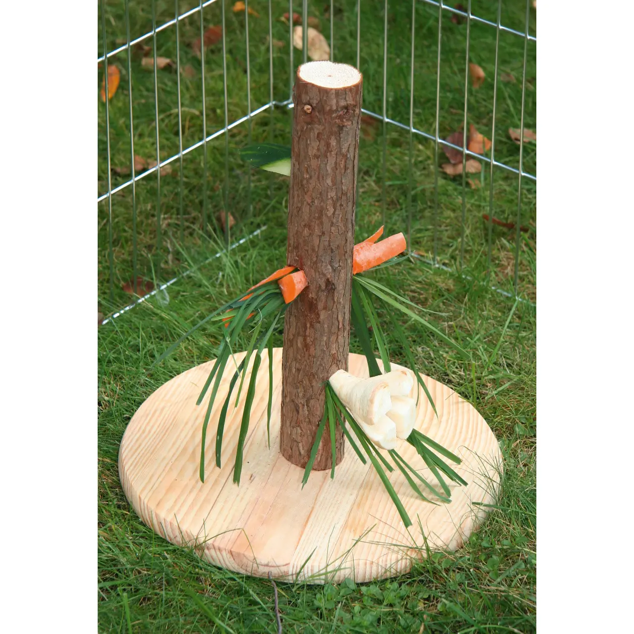 Kerbl Marron Wooden Rodent Food Tree Nature