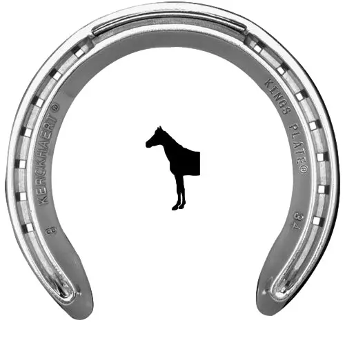 Meilleurs prix pour Fer à cheval antérieur ouverte sans pinçons Kerckhaert Kings Plate