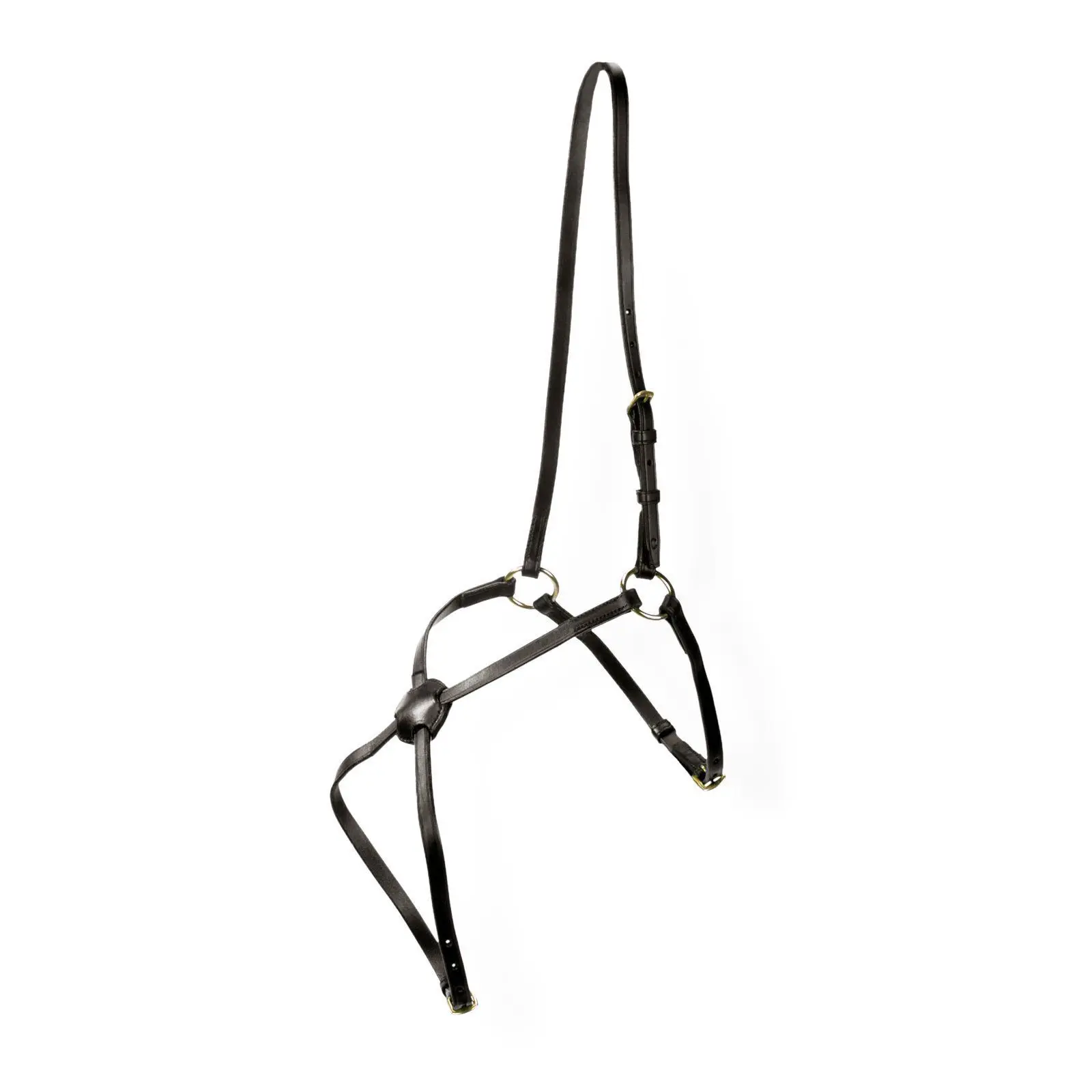 Muserolle croisée pour cheval Kieffer Carmen with chrome buckles