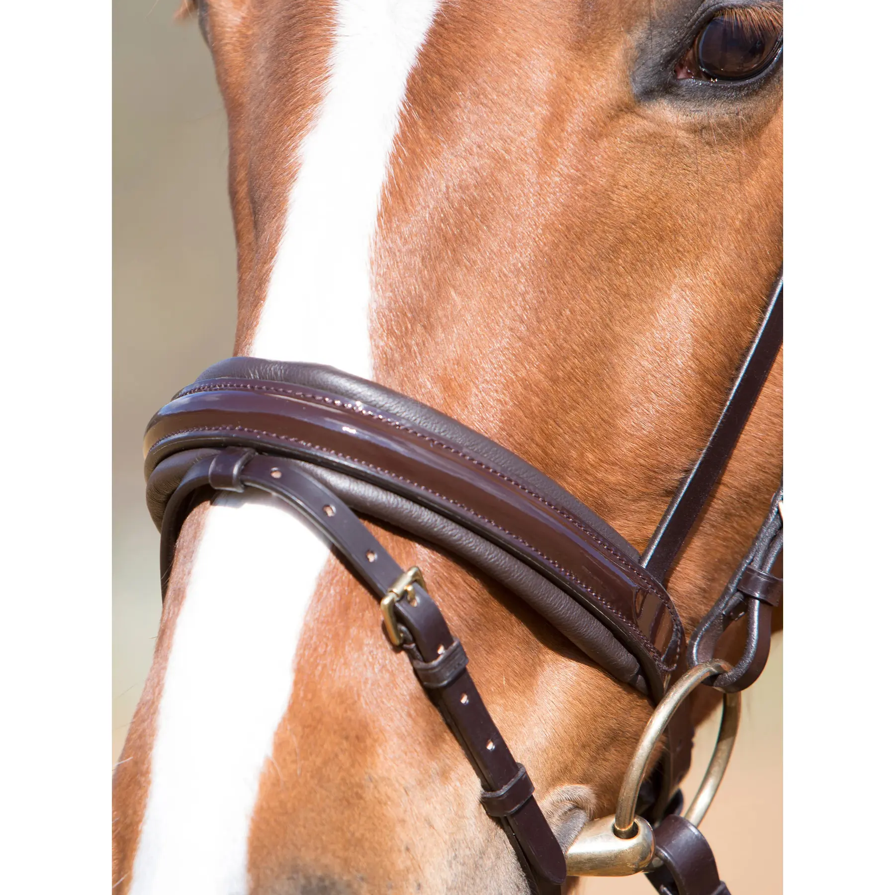 Comparer les prix de Muserolle cheval avec boucles carrées en laiton Kieffer Flash Comfort Paris Ii