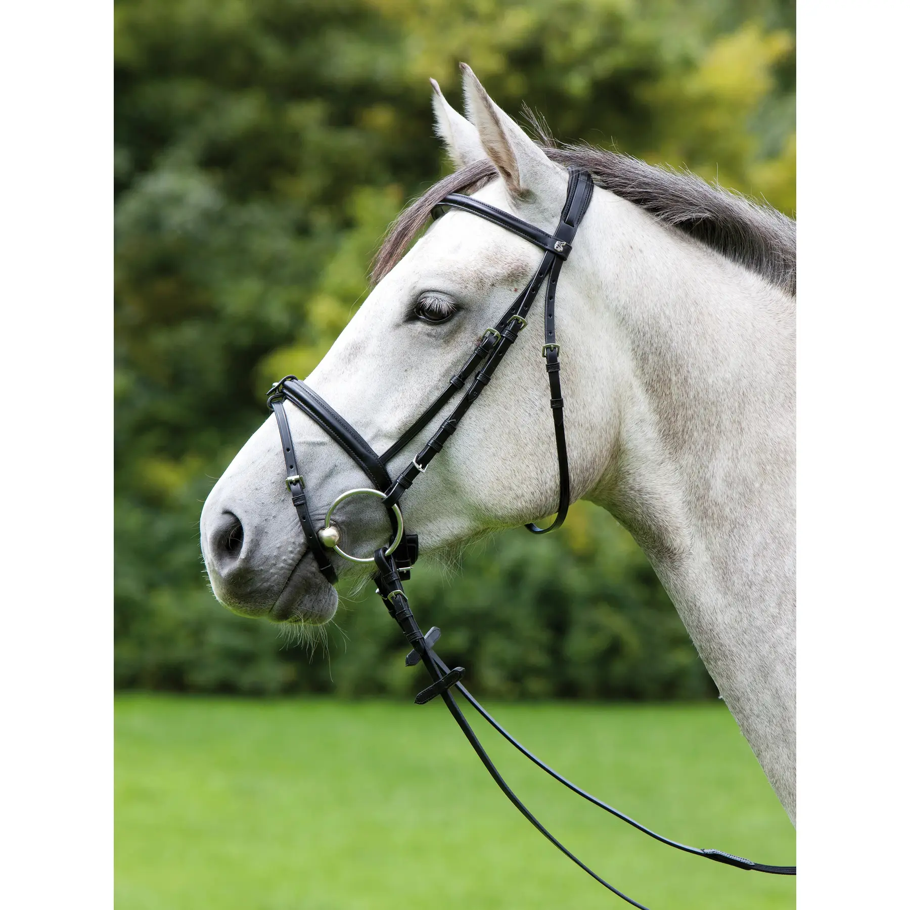 Comparer les prix de Bridon équitation Kieffer Anja Beran combined noseband and chip pad